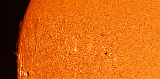 H-alpha active region with prominences