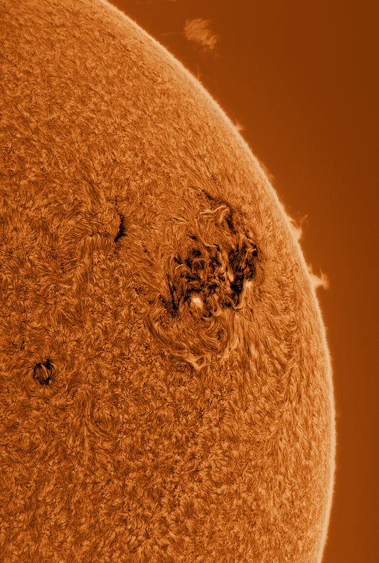 Sunspot Group 3664 Inverted