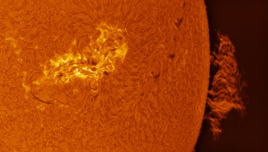 Sunspot Group 3664 and a huge prominence.