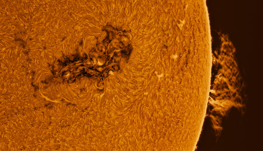 Giant Sunspot Group 3664 Inverted