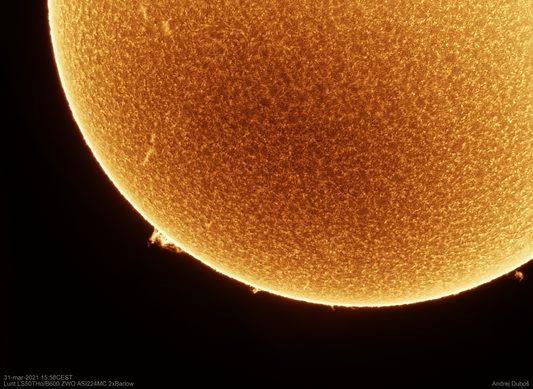 Detail of protuberance