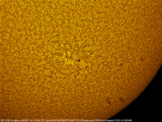 AR 12781 H-alpha