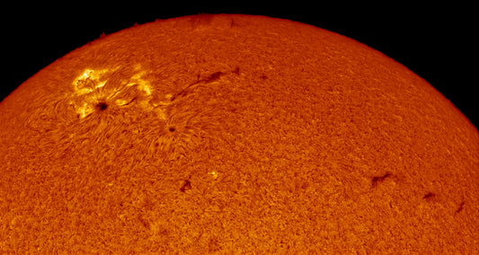 AR 2785 & 2786