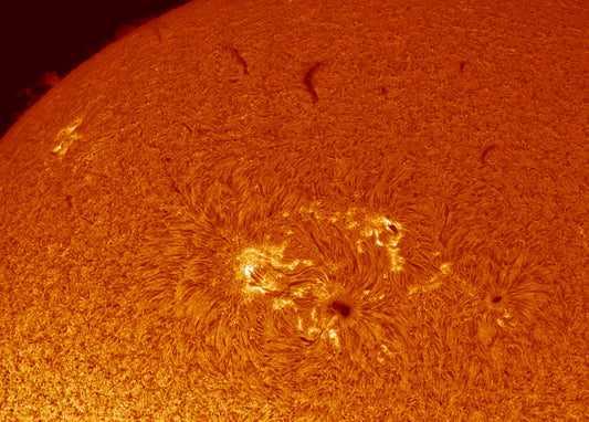 AR 2785 & 2786
