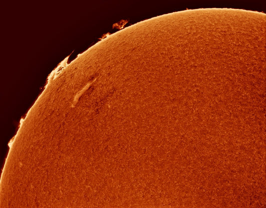 AR 2790 Aloha