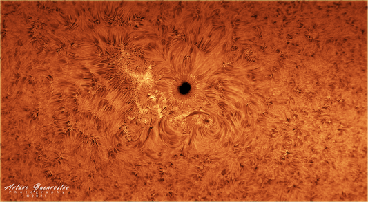 AR2882 SOLAR ACTIVITY