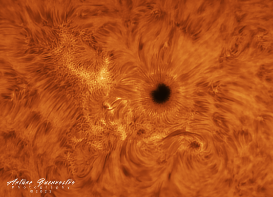 AR2882 FROM TEXAS