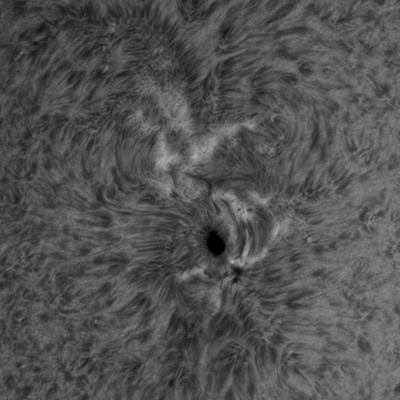 Sunspot AR 2824 Solar Flare
