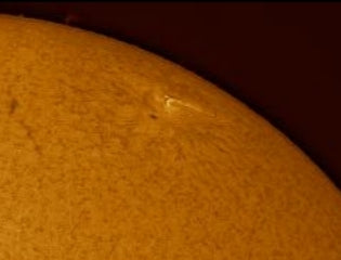 AR1 12781