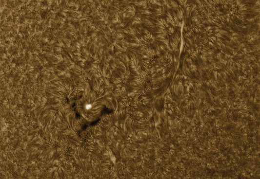 AR 2833 in Ha (inverted color)