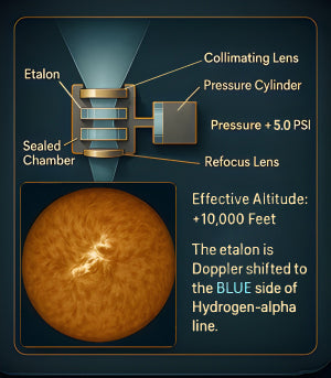 Dynamic 3D Viewing
