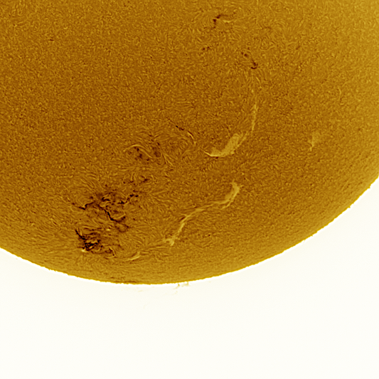 Beautiful surface activity