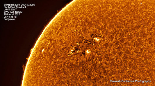 2993, 2994 &amp; 2995.