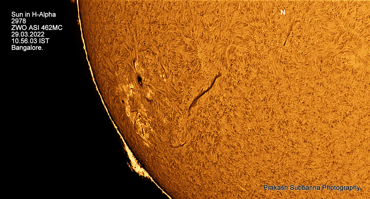 2978 & filaments, Proms. – Lunt Solar Systems