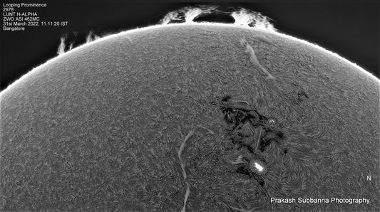 Interconnecting Proms &amp; 2978