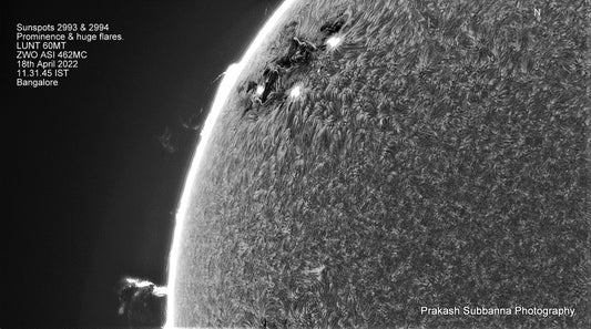 Mono-Active region East quadrant