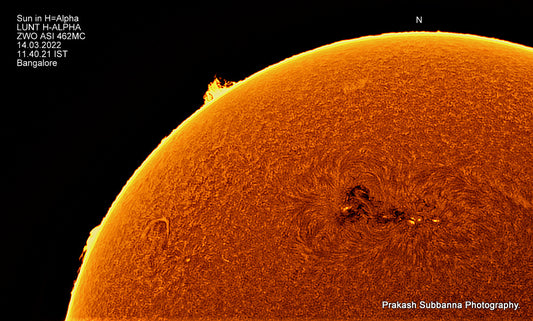 Sun in H-Alpha, North-East quadrant 2965
