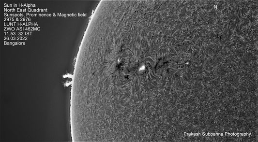 Sunspots 2975 &amp; 2976, Proms
