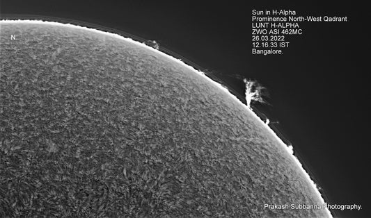 North west Quadrant, Proms