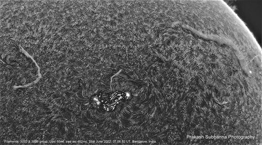 Sunspots &amp; filaments
