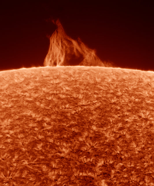 Chromosphere and Prominence