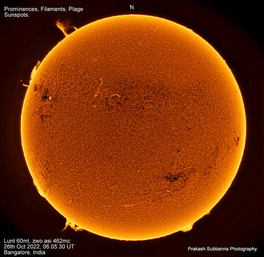 Full Disk Beauty Image 2 - Prominences, Plage, Filaments, Sunspots