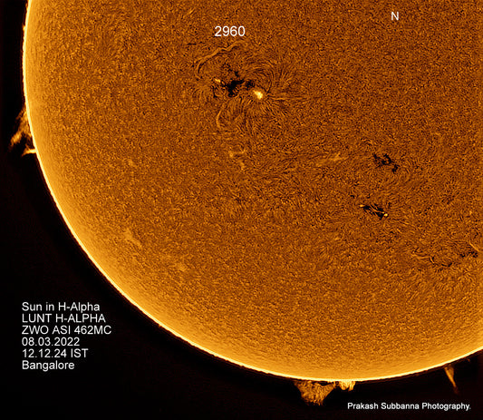 Activity around 2960 &amp; prominences.