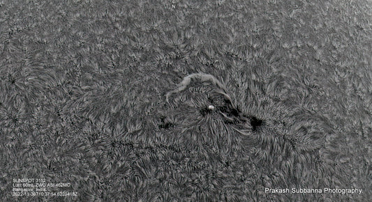 Active Region Closeup