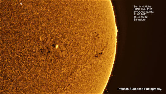 Sun in H-Alpha. Western Limb.