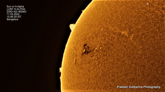 Sun in H-Alpha. Eastern Limb