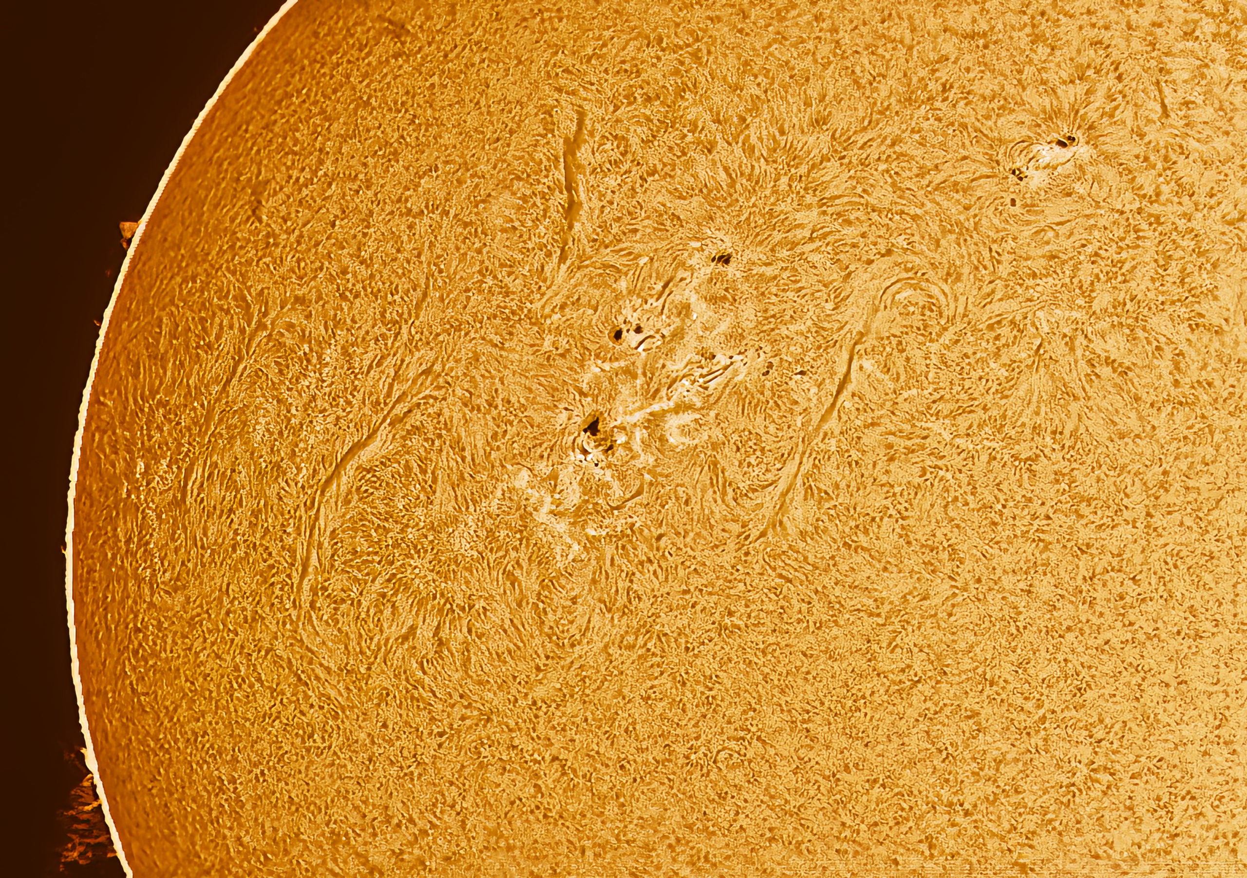 Sunspot cluster – Lunt Solar Systems