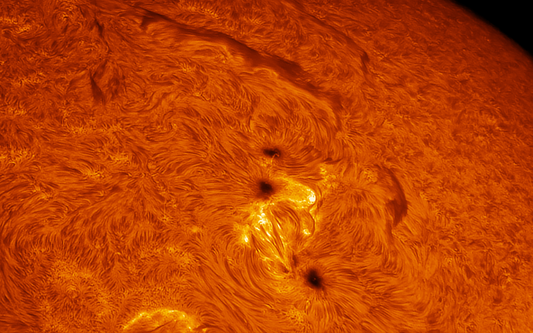 Sunspot and Filament Detail