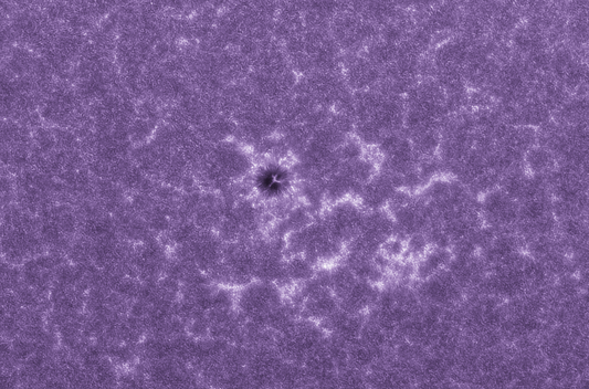 11-6-21 AR 2893 in CaK