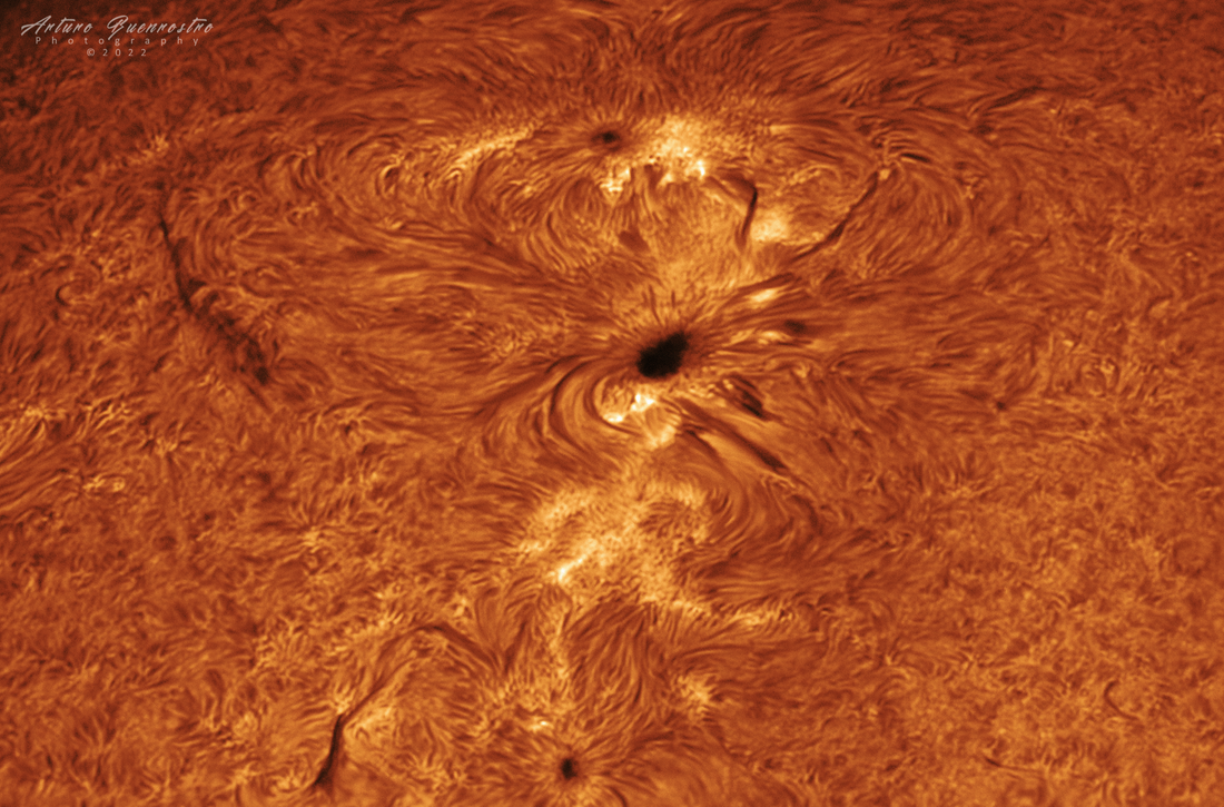 The Sun 2022