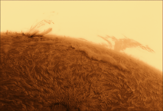 SParkles in The Sun from Texas