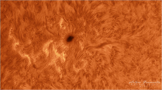 Solar Activity