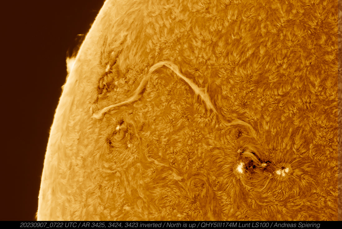 Some active regions with a nice filament