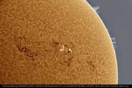 Four active regions and some proms