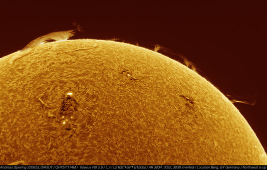 Large Filaprom June 23, 2022