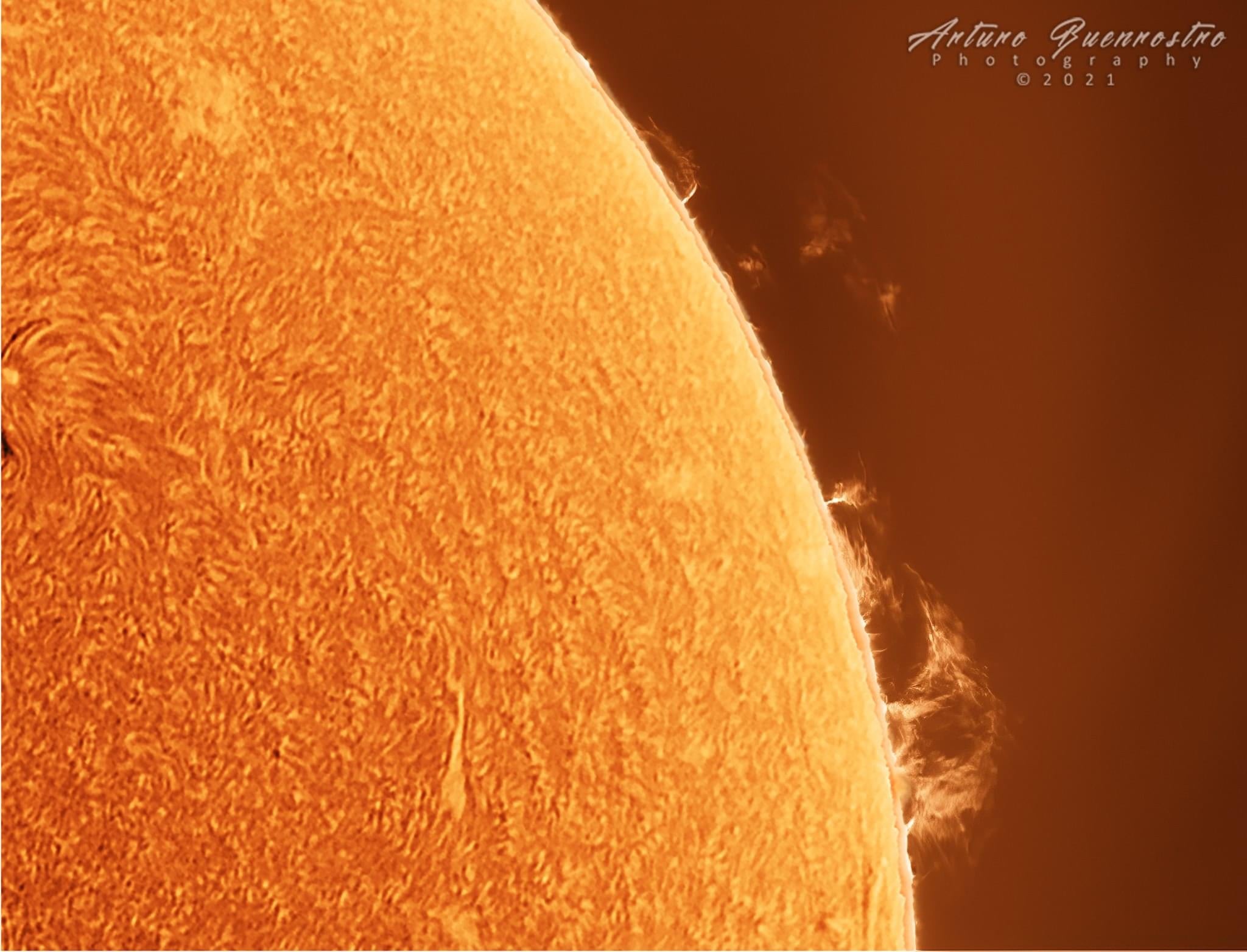 Solar Prominences – Lunt Solar Systems