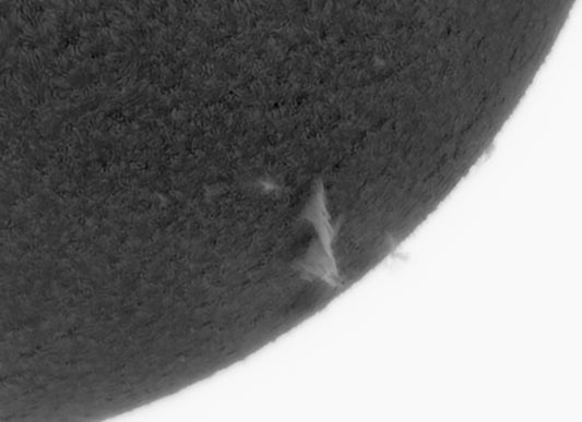 Filament on SW limb 2/20/2021