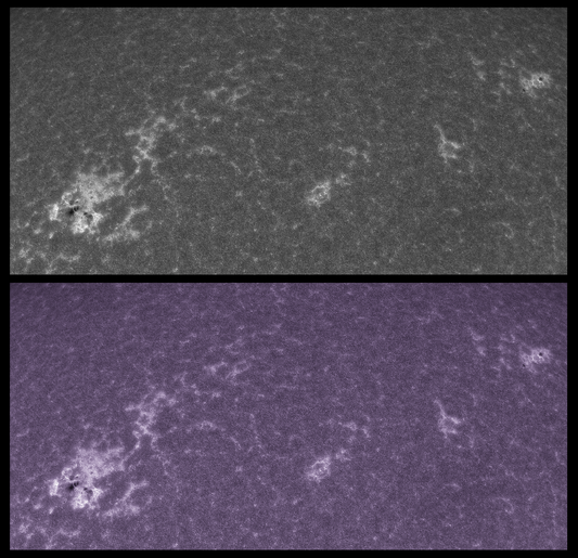 AR 2781 and 2782 in Calcium