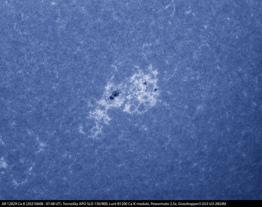 AR12829 Ca-K