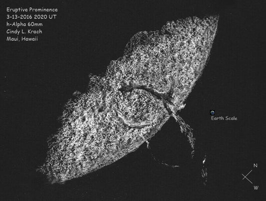 2016 Summer Image Contest