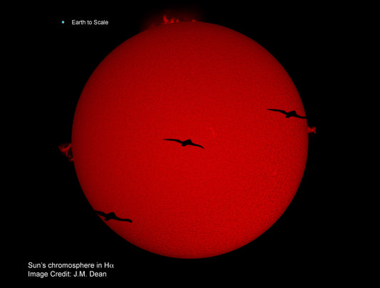 Sun's chromosphere and passing seagull