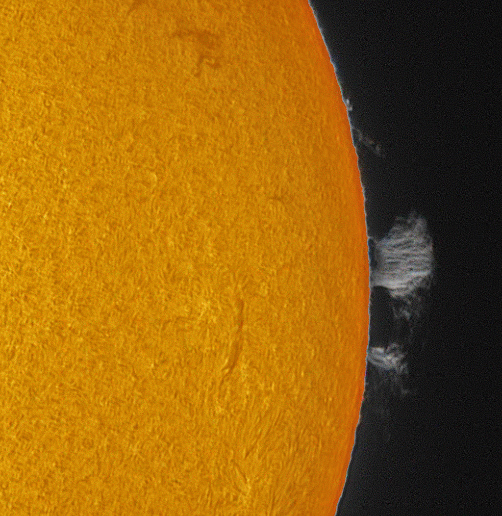 Sun with Prom – Lunt Solar Systems