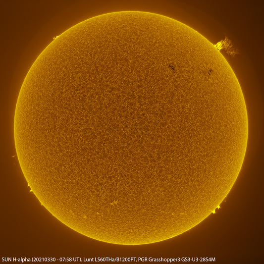 Sun in H-alpha