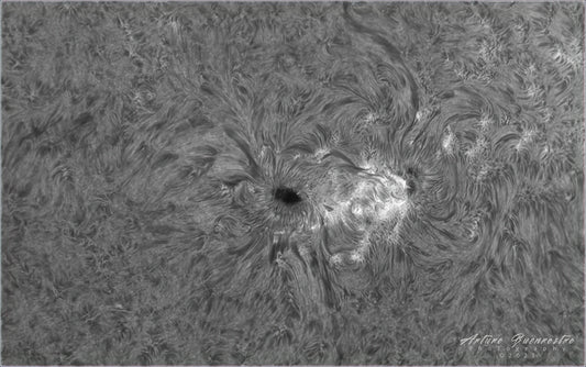 SOLar Activity JULY 2023