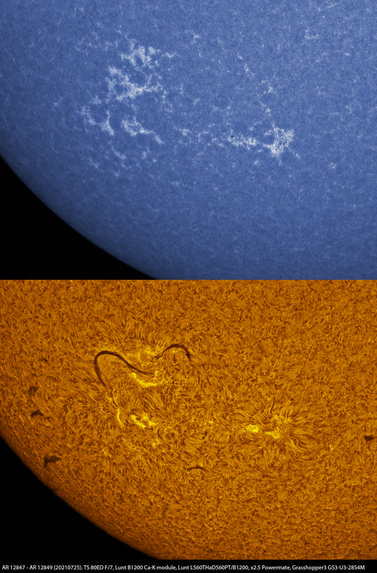 AR 12847 - AR 12849 Comparison Ca-K, H-alpha