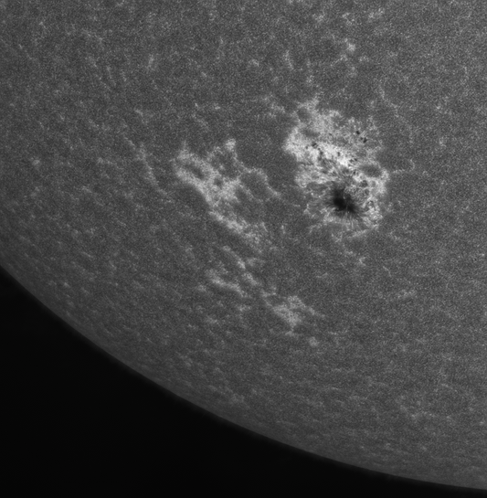 AR 2835 in CaK